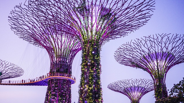 condominium | Singapore