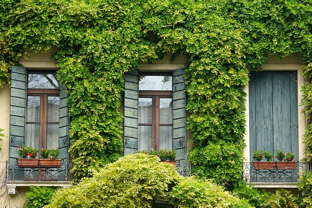 Condominiums, Home Sales, Property Investment