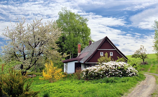 Condominiums, Home Sales, Property Investment