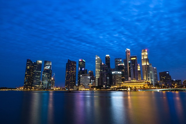 condominium | Singapore
