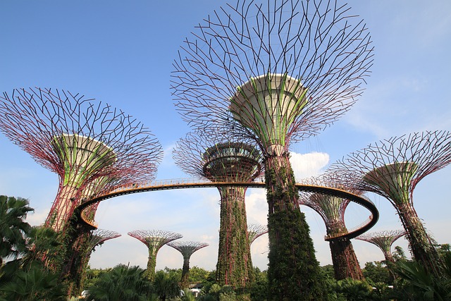 condominium | Singapore