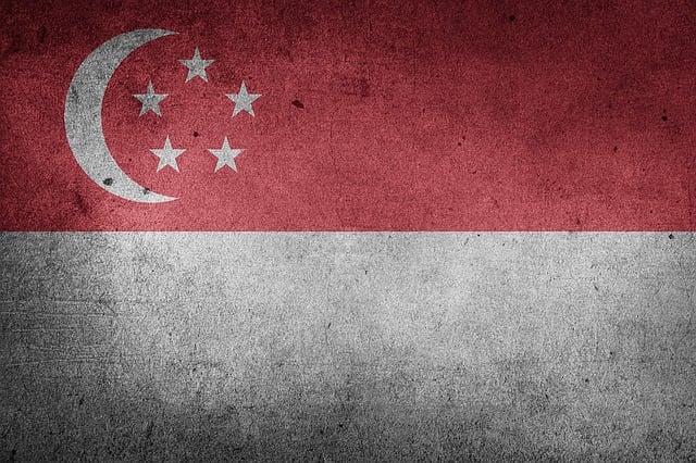 condominium-singapore-640x480-75124957.jpeg