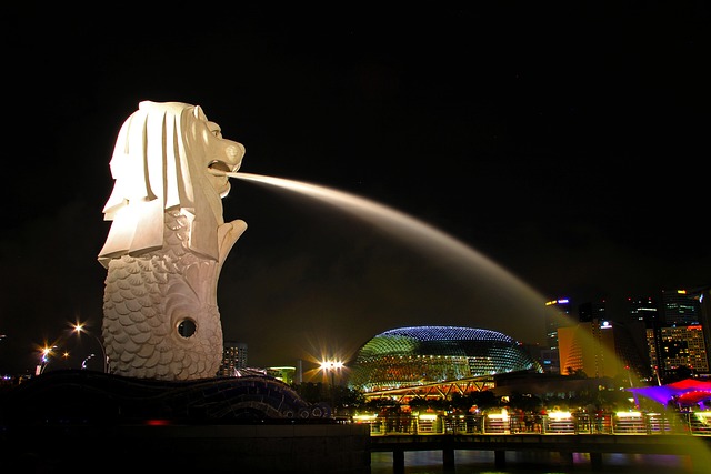 condominium | Singapore