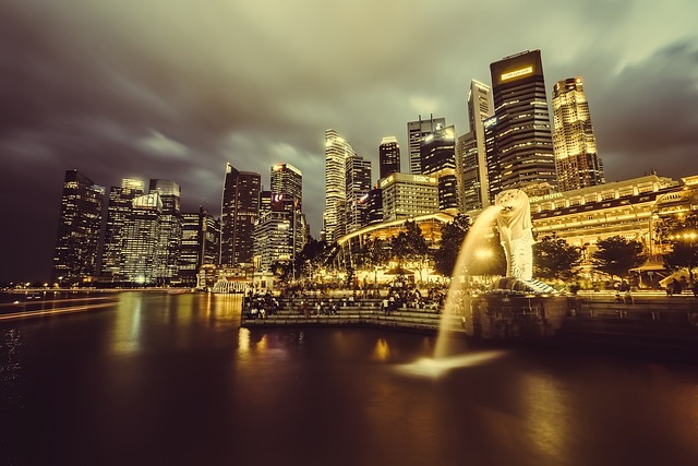 condominium-singapore-640x480-80215968.jpeg