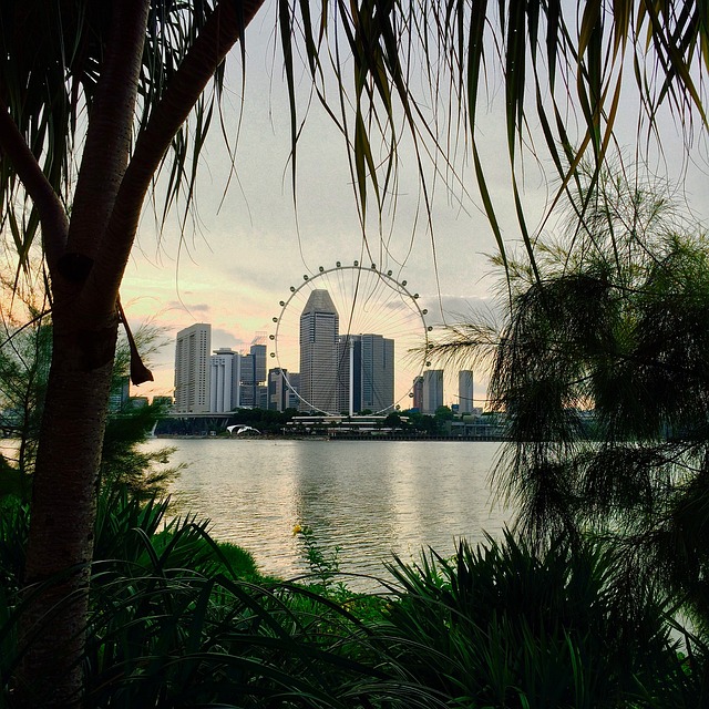 condominium | Singapore