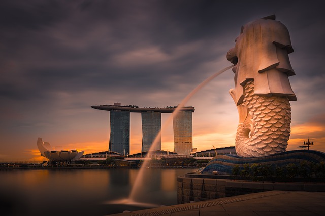 condominium | Singapore