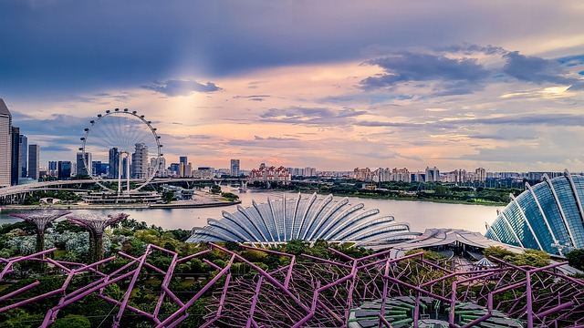 condominium-singapore-640x480-80996077.jpeg