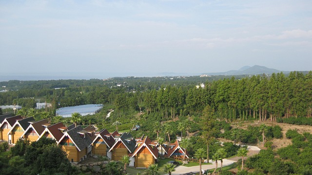 Condo